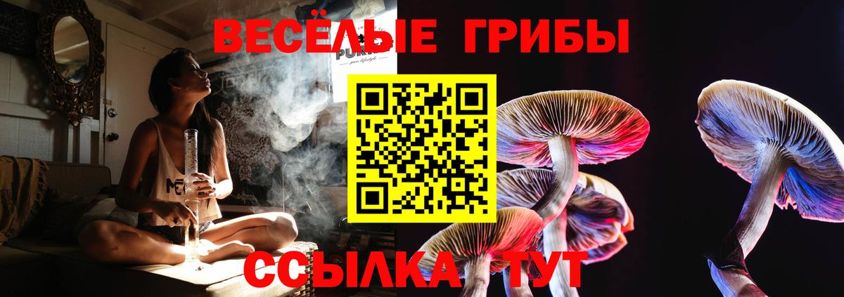 Псилоцибиновые грибы GOLDEN TEACHER Приморско-Ахтарск